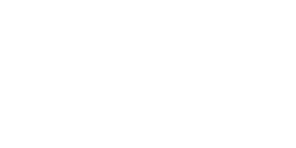 PRIME-PRO